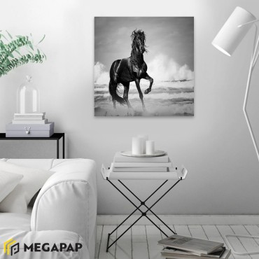 Πίνακας σε καμβά "Black Horse" Megapap ψηφιακής εκτύπωσης 60x60x3εκ.