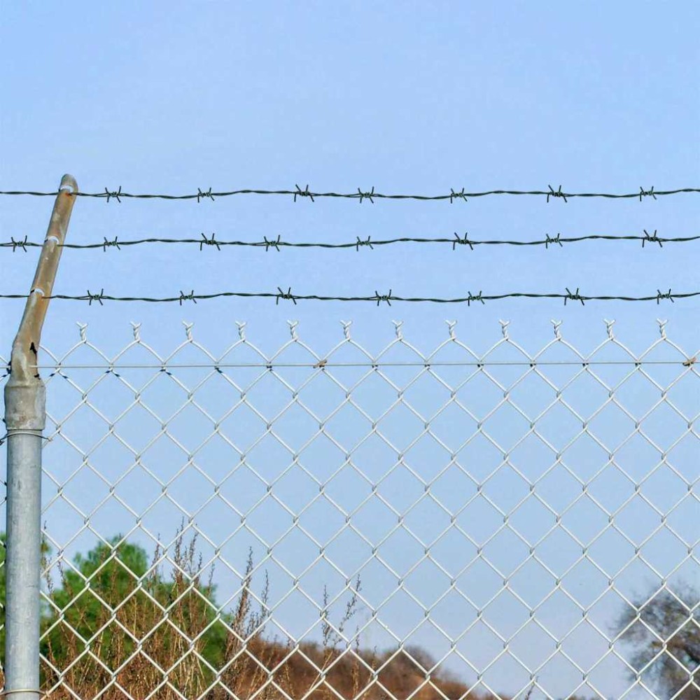 vidaXL Αγκαθωτό Σύρμα Πράσινο 100 m