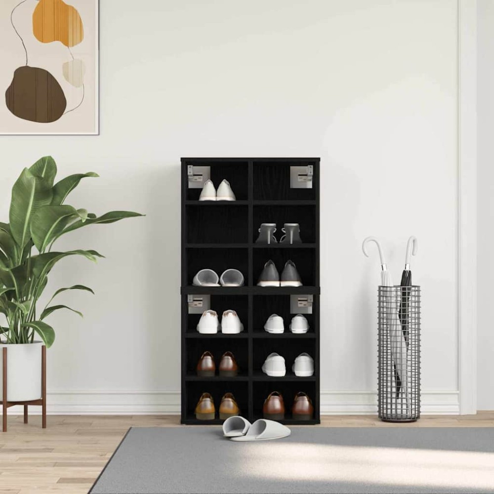 vidaXL Ντουλάπα Παπουτσιών 2 τμχ. 52x30x50,5cm Μαύρη Οξυά