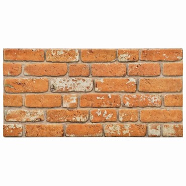 vidaXL Πάνελ τοίχου 10 τμχ. 100 x 50 cm Τούβλο Αφρός EPS