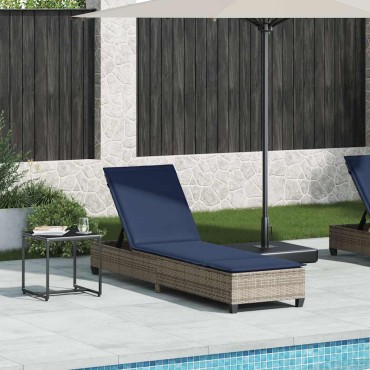 vidaXL Ξαπλώστρα με Μαξιλάρια Γκρι 55x200x25,5cm από Συνθετικό Ρατάν 1 τεμ.