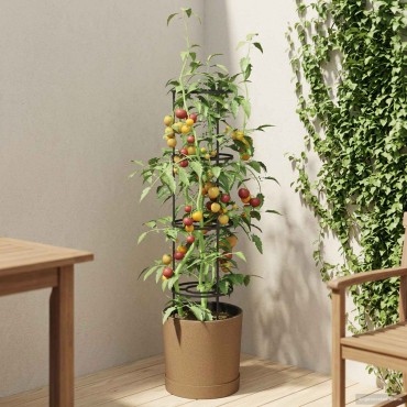 vidaXL Καλλιεργητής ντομάτας Naturo ECO Ø 39 x 139 εκ WPC