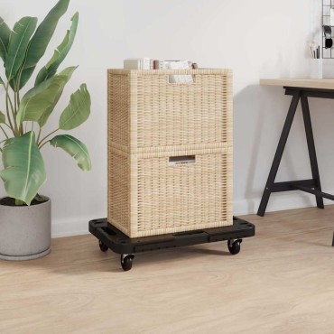 vidaXL Τρόλεϊ Μεταφοράς 2 Τεμ. Μαύρα 58 x 38 x 12 εκ. Πολυπροπυλένιο