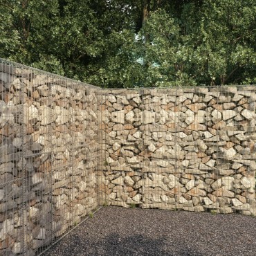 vidaXL Συρματοκιβώτιο Τοίχος 300x50x200cm Γαλβαν.Χάλυβας + Κάλυμμα