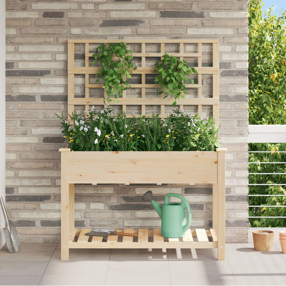 vidaXL Κήπος Γλάστρα με Πλέγμα & Ράφι 115x59x152 εκ Μασίφ Ξύλο Πεύκου