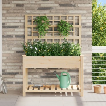 vidaXL Κήπος Γλάστρα με Πλέγμα & Ράφι 115x59x152 εκ Μασίφ Ξύλο Πεύκου