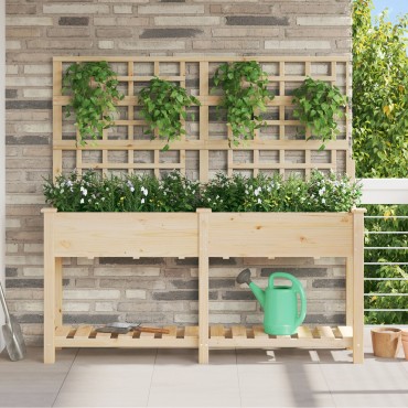 vidaXL Κήπος Γλάστρα με Πλέγμα & Ράφι 161x43x152 εκ. Μασίφ ξύλο πεύκου