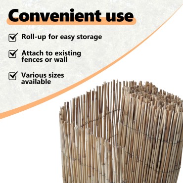 vidaXL Κήπος καλάμι φence 300x160 εκ