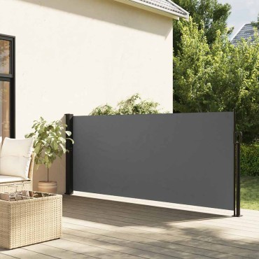 vidaXL Πτυσσόμενη Πλαϊνή Τέντα Ανθρακί 100x300 εκ.