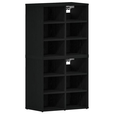 vidaXL Ντουλάπα Παπουτσιών 2 τμχ. 52x30x50,5cm Μαύρη Οξυά