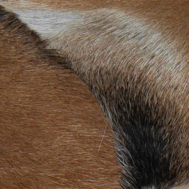 vidaXL Παγκάκι από Δέρμα Κατσίκας / Ξύλο Teak 100x30x45cm 1 τεμ.