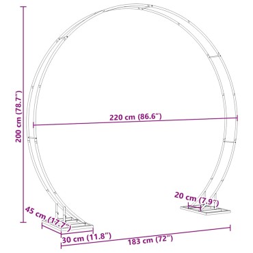 vidaXL Διπλός Γάμος Αψίδα Χρυσό 220 x 45 x 200 εκ. Ατσάλι