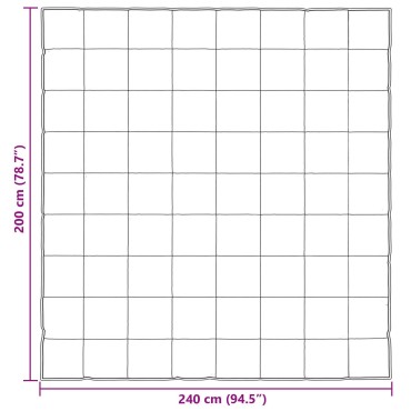 vidaXL Κουβέρτα ολόκληρου του χρόνου 200 x 240 cm 300 gsm Χρυσό