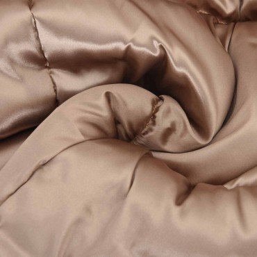 vidaXL Κουβέρτα ολόκληρου του χρόνου 200 x 220 cm 300 gsm Χρυσό
