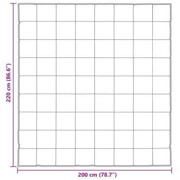 vidaXL Κουβέρτα ολόκληρου του χρόνου 200 x 220 cm 300 gsm Χρυσό