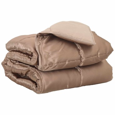 vidaXL Κουβέρτα ολόκληρου του χρόνου 220 x 260 cm 300 gsm Χρυσό