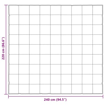vidaXL Κουβέρτα ολόκληρου του χρόνου 220 x 240 cm 300 gsm Ασημί