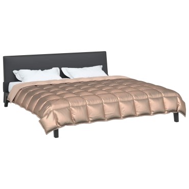 vidaXL Χειμερινό Παπλωματοθήκη 200 x 220 cm 450 gsm Χρυσό