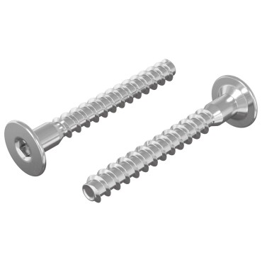 vidaXL Βίδες Επιβεβαίωσης 2 τμχ. Ασημί Ø5 x 40 mm Μέταλλο