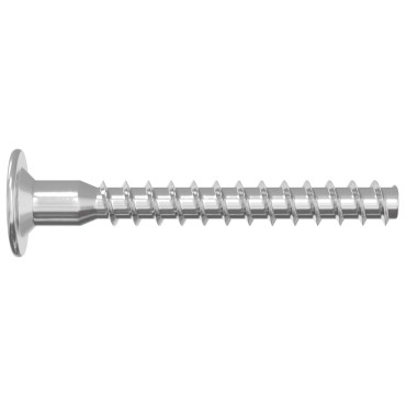 vidaXL Βίδες Επιβεβαίωσης 2 τμχ. Ασημί Ø5 x 40 mm Μέταλλο