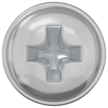 vidaXL Βίδες ασφαλείας 2 τμχ. Ασημί M4 x 5 mm Σίδερο