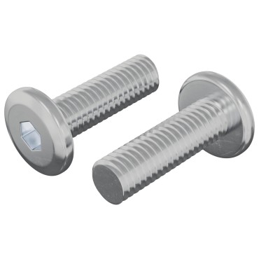 vidaXL Βίδα 2 τμχ. Ασημί 8 x 25 mm Ατσάλι