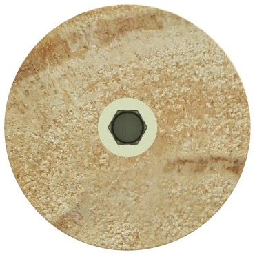 vidaXL Πόδια Επίπλων 12 τμχ. Καφέ Ø 44 x 100 mm Στερεό Ξύλο Ευκαλύπτου