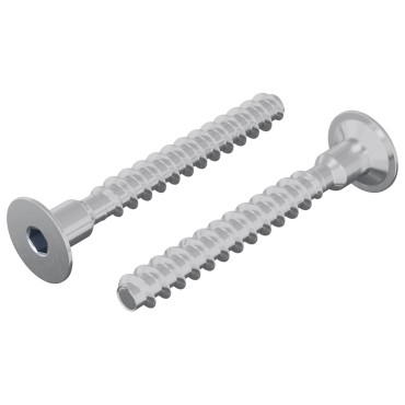 vidaXL Βίδα 2 τμχ. Επικαλυμμένο με ψευδάργυρο 5 x 40 mm Σίδερο