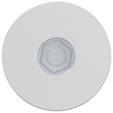vidaXL Βίδα 2 τμχ. Επικαλυμμένο με ψευδάργυρο 5 x 40 mm Σίδερο