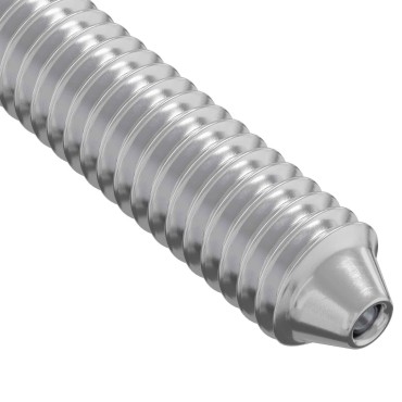 vidaXL Βίδα 800 τμχ. Ασημί M6 x 120 mm Ατσάλι