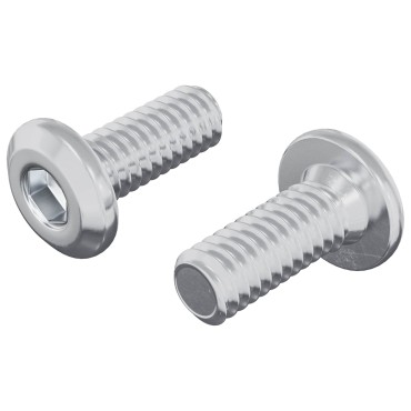 vidaXL Βίδα με κλειδί κεφαλής 2 τμχ. Ασημί M6 x 15 mm Ατσάλι