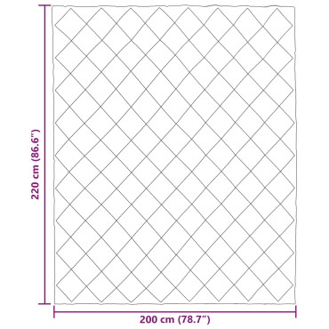 vidaXL Χειμερινό Παπλωματοθήκη 200 x 220 cm 450 gsm Ανθρακί και Ταμπά