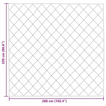 vidaXL Χειμερινό Παπλωματοθήκη 220 x 260 cm 450 gsm