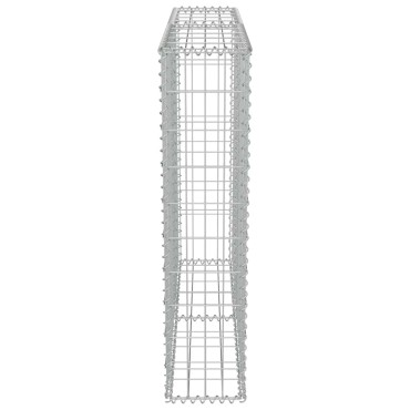 vidaXL Συρματοκιβώτιο Τοίχος 100x20x100cm Γαλβαν.Χάλυβας + Καλύμματα
