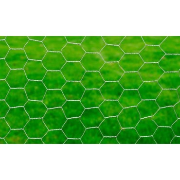vidaXL Συρματόπλεγμα Κοτετσόσυρμα Ασημί 25x1 μ. Γαλβαν. Ατσάλι