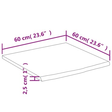 vidaXL Πάγκος Μπάνιου Ορθογώνιος 60x60x2,5cm Μασίφ Ξύλο Οξιάς