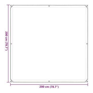 vidaXL Κάλυμμα Φυτών Διαφανές 2 x 2 m PE