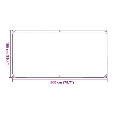vidaXL Κάλυμμα Φυτών Διαφανές 1 x 2 m PVC