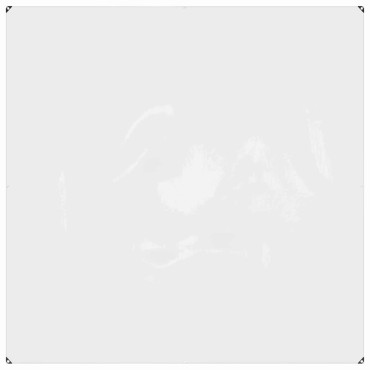 vidaXL Κάλυμμα Φυτών Διαφανές 2 x 2 m PVC