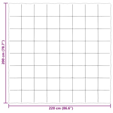 vidaXL Καλοκαιρινό Παπλωματοθήκη 200 x 220 cm Καλοκαίρι Ανοιχτό γκρι