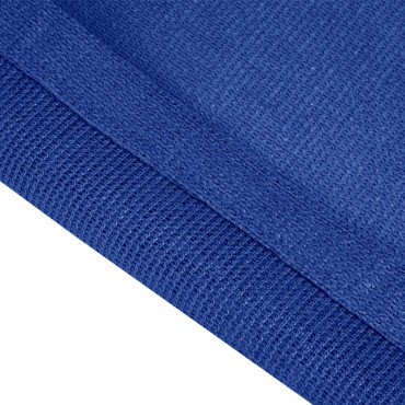 vidaXL Χαλί Σκηνής Μπλε 200 x 300 εκ. από HDPE