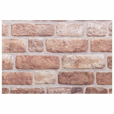 vidaXL Πάνελ τοίχου 10 τμχ. 100 x 50 cm Καφέ Αφρός EPS