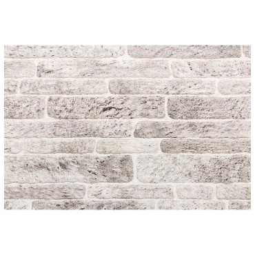 vidaXL Πάνελ τοίχου 10 τμχ. 100 x 50 cm Ανοιχτό Γκρι και Λευκό