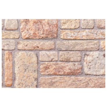 vidaXL Πάνελ τοίχου 10 τμχ. 100 x 50 cm Ανοιχτό καφέ και Λευκό