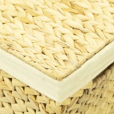 vidaXL Σετ Μπάνιου 4 Τεμαχίων από Υάκινθο Νερού