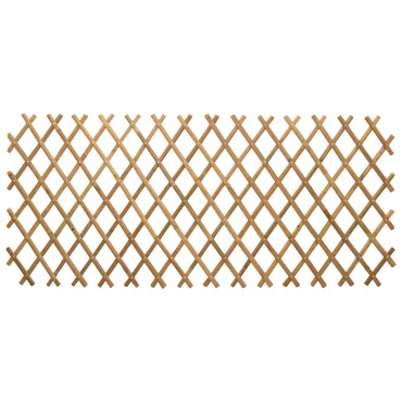 vidaXL Επεκτάσιμο πλέγμα φράχτη 2 τμχ. 100x105cm Μπαμπού