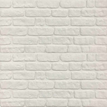 vidaXL Πάνελ τοίχου 10 τμχ. 100 x 50 cm Λευκό Αφρός EPS