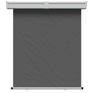 vidaXL Αυλούπα Πλευράς Μπαλκονιού 160 x 250 cm