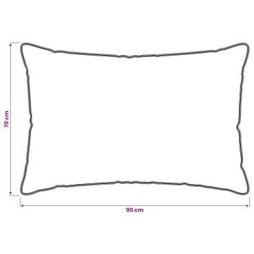 vidaXL Μαξιλάρι 2 τμχ. 70 x 90 cm Ίνες μπαμπού Λευκό
