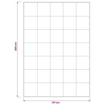 vidaXL Σετ πάπλωμα 90% χήνας FULDA 2 τμχ. 137 x 200 cm Όλες οι εποχές